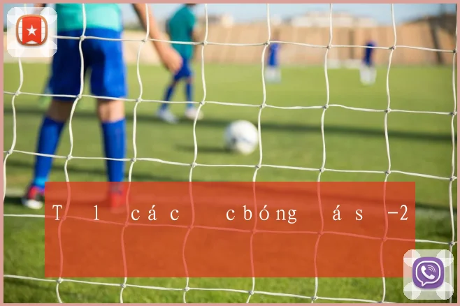 Tỷ lệ cá cược bóng đá số