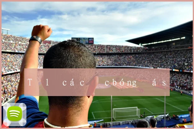 Tỷ lệ cá cược bóng đá số
